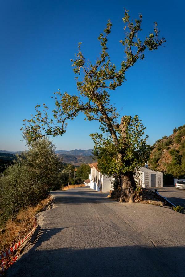 B&B Villa Deseada Periana Exterior foto